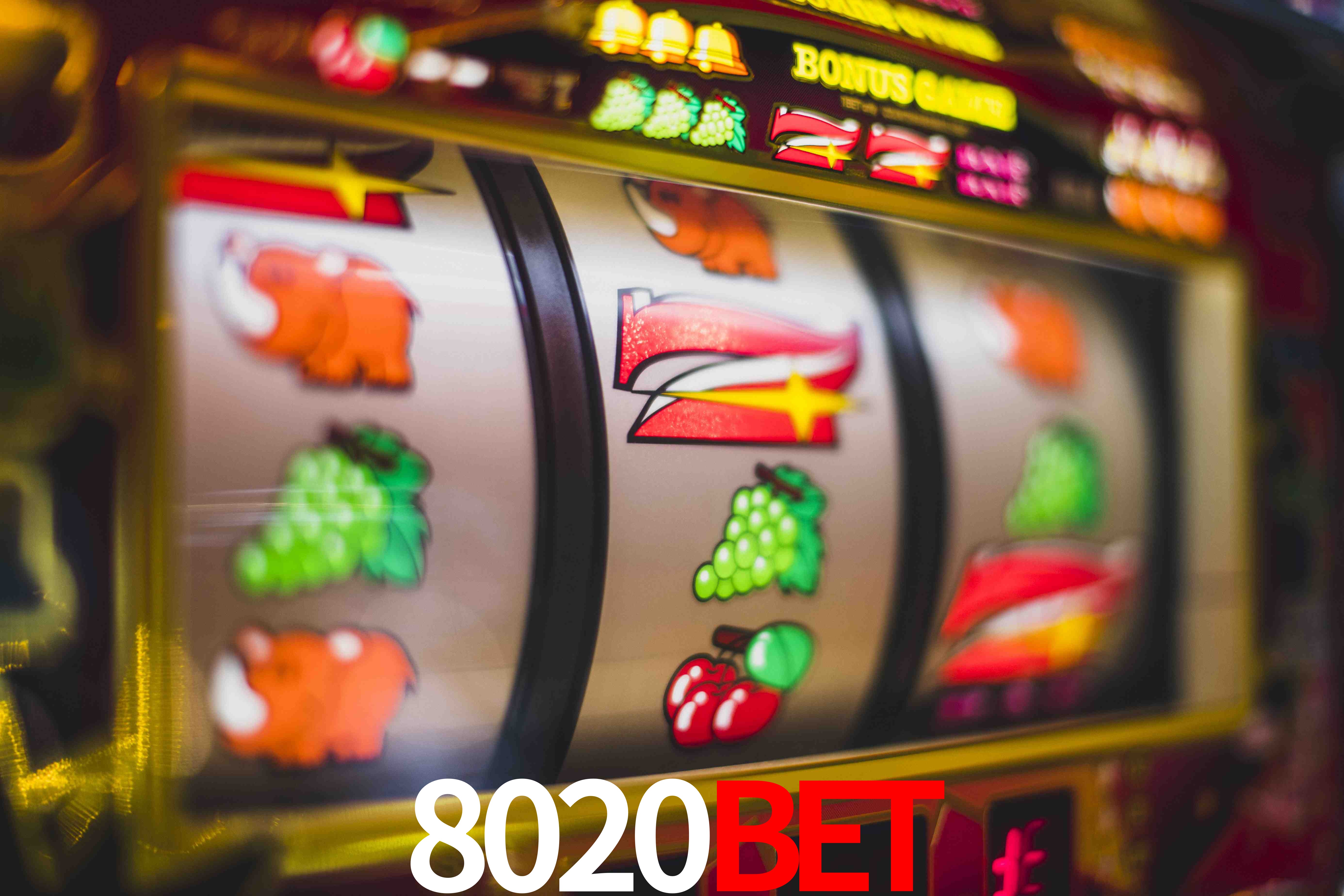 Football Betting 8020bet